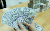 Giá USD hôm nay 8.10.2024: Ngân hàng đồng loạt tăng, vượt mức 25.000 đồng