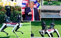 Chó robot bảo vệ Tổng thống đắc cử Trump