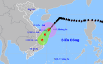 Bão số 7 áp sát Quảng Nam - Bình Định, miền Trung mưa  lớn