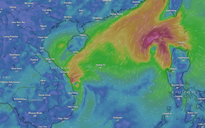 Bão số 8 và áp thấp nhiệt đới hoạt động trên Biển Đông như thế nào?