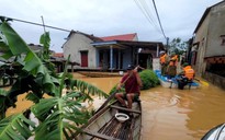 Cần nền tảng trực tuyến cho cứu hộ và cứu trợ