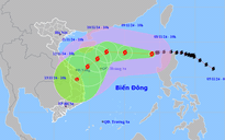 Bão số 7 liên tục đổi hướng, khả năng đổ bộ Quảng Nam - Quảng Ngãi