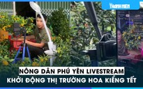 Nông dân Phú Yên livestream khởi động thị trường hoa kiểng tết