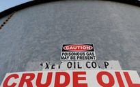 Giá xăng dầu hôm nay 13.2.2024: Xu hướng giảm nhẹ