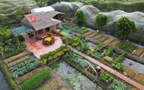Ngôi nhà vườn xinh của cô gái miền Tây thu hút khách chụp ảnh ngày tết