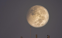 Hôm nay xuất hiện 'trăng tròn nhỏ nhất' 2024: Vì sao gọi là Trăng Tuyết?
