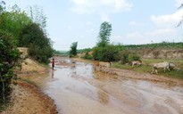 Trên 1.770 ha cây trồng ở Kon Tum có nguy cơ bị hạn hán, thiếu nước