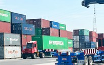 Các hãng tàu ngoại chèn ép doanh nghiệp xuất khẩu Việt?