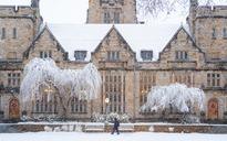 Yale yêu cầu SAT hoặc ACT và thêm hai bài thi chuẩn hóa mới để tuyển sinh