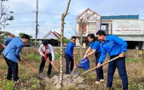 Tháng Thanh niên ở Quảng Nam: Thực hiện nhuần nhuyễn chủ trương '3 liên kết'