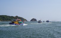 Tàu cá Bình Định gặp nạn trên biển, 8 ngư dân được cứu