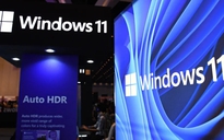 Thị phần Windows 11 đạt mức cao mới