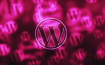 Các website dùng WordPress cần xóa 2 plugin này