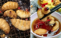 Những món ăn 'không bình thường' ở Việt Nam du khách nên thử