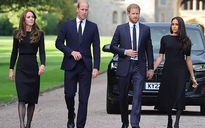 Vợ chồng Hoàng tử Harry không được thông báo sớm việc Vương phi Kate  mắc ung thư