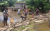 Động đất quét sạch 1.000 căn nhà, gây chết nhiều người ở Papua New Guinea