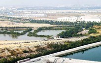 Hải Phòng tìm nhà đầu tư cho dự án nhà máy điện rác gần 2.500 tỉ đồng