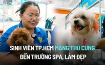 Sinh viên TP.HCM mang hàng nghìn thú cưng đến trường spa, làm đẹp