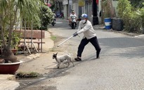 Đội bắt chó thả rông đầu tiên ở Đồng Nai 'than khó' khi hoạt động