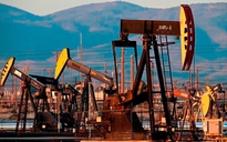 Giá xăng dầu hôm nay 19.4.2024: Đà giảm chưa dứt