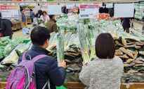 Hàn Quốc cấm cử tri đem tỏi tây đến điểm bỏ phiếu