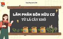 Cùng sống xanh số 86: Học sinh khởi nghiệp làm phân từ lá cây khô khiến nông dân đặt hàng cả ngàn bao