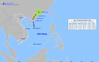 Áp thấp nhiệt đới trên Biển Đông mạnh lên thành bão số 1