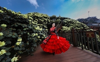 'Bỏ túi' bí kíp khám phá vẻ đẹp hoa đỗ quyên trên đỉnh Fansipan hè này