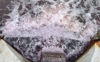 Nước thải khu công nghiệp nhuộm hồng con kênh đổ ra sông Bắc Hưng Hải