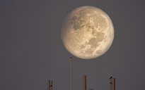 Tối nay người Việt hãy nhìn lên bầu trời ngắm 'trăng tròn thấp nhất 2024'