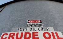 Giá xăng dầu hôm nay 21.6.2024: Đồng loạt tăng