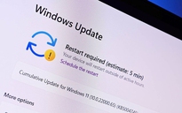 Microsoft khuyến cáo cần cập nhật gấp Windows