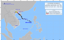 Bão số 2 đổ bộ vào Quảng Ninh