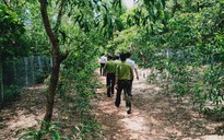 Người nhà chánh án bao chiếm đất công, rừng phòng hộ còn đòi bồi thường