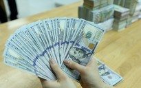 Giá USD hôm nay 1.8.2024: Đồng loạt giảm