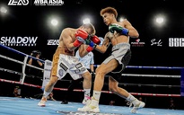 Mãn nhãn những màn so tài giải quyền anh chuyên nghiệp WBA Asia Vietnam Tournament