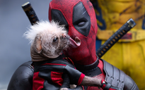 'Deadpool & Wolverine' xô đổ và lập những kỷ lục nào?