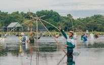 Lội bùn bắt cá tại lễ hội phá trằm Trà Lộc