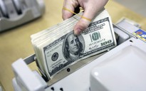 Giá USD hôm nay 8.8.2024: Đồng loạt tăng