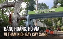 Bàng hoàng vì thảm kịch gãy cây xanh chết người ở công viên Tao Đàn