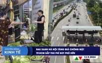 CHUYỂN ĐỘNG KINH TẾ ngày 12.9: Rau xanh Hà Nội tăng giá chóng mặt | TP.HCM sắp thu phí BOT Phú Hữu