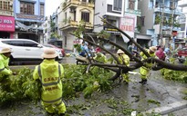 Hạ Long mở chiến dịch 7 ngày đêm khắc phục hậu quả bão