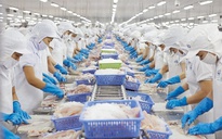 Thủy sản xuất khẩu lại bị vướng ở cảng vì quy định ghi nhãn