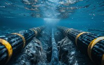 Điều gì xảy ra nếu cáp quang biển bị đứt?