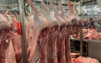 Giá heo hơi hôm nay 1.10.2025: Lại tiếp tục giảm 