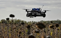 Châu Âu gấp rút tăng năng lực UAV