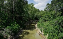 Nhiều thi thể được phát hiện trên sông ở Texas