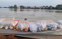 Mưa lũ bão Matmo gây thiệt hại 5.450 tỉ đồng