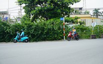 Làm nhân viên chính thức nhưng thu nhập ít hơn shipper