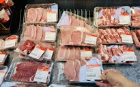 Giá heo hơi hôm nay 14.10.2025: Heo hơi và heo giống cùng giảm
